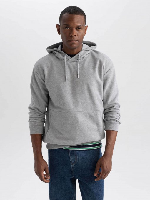 Худи DeFacto модель Y0764AZ-GR362 Фото