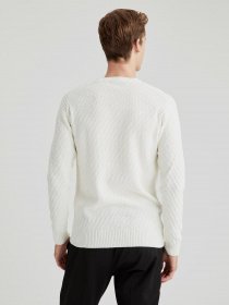 Джемпер DeFacto модель T6367AZ-ER65 Фото