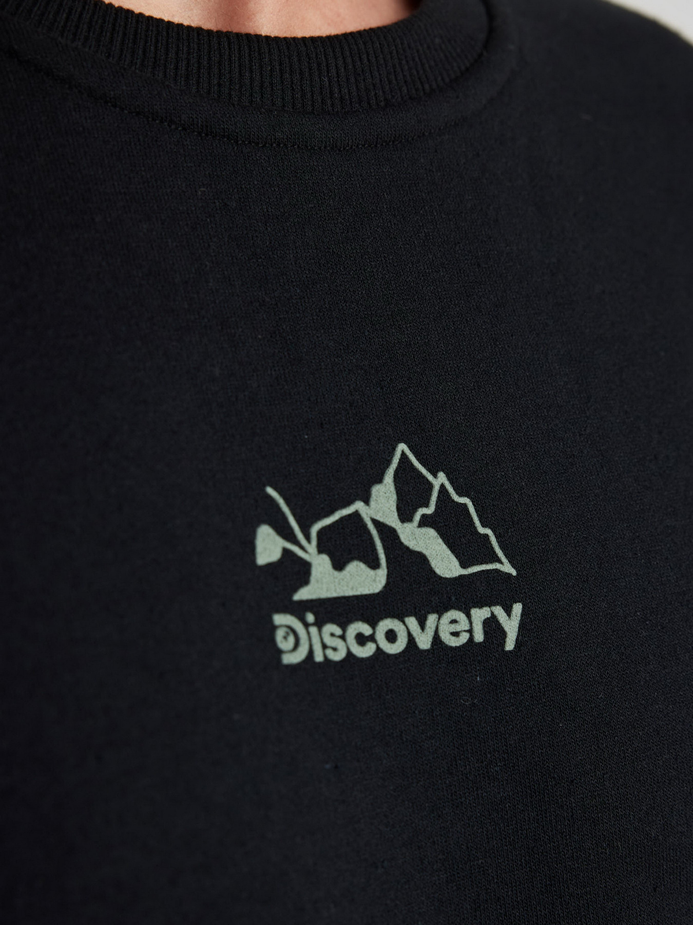 Свитшот DeFacto модель Y2582AZ-BK81 Фото