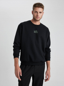 Свитшот DeFacto модель Y2582AZ-BK81 Фото