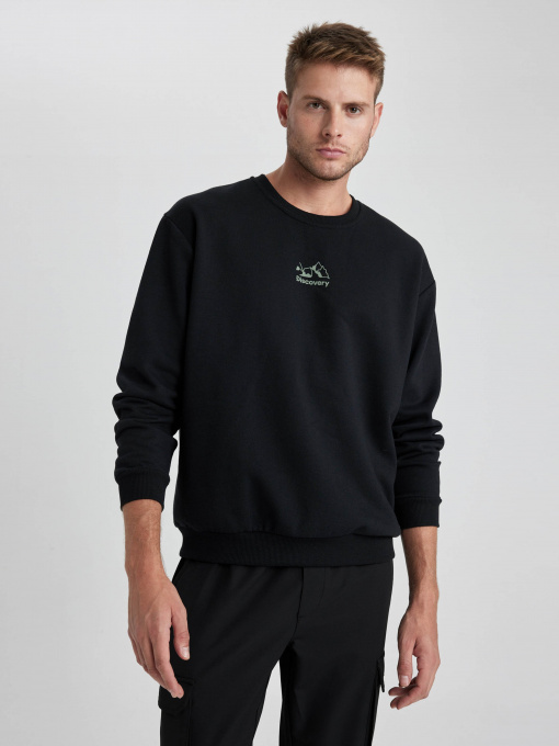 Свитшот DeFacto модель Y2582AZ-BK81 Фото