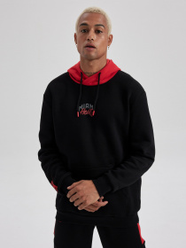 Худи DeFacto модель A4115AX-BK81 Фото