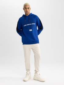 Худі DeFacto модель A7249AX-BE325 Фото