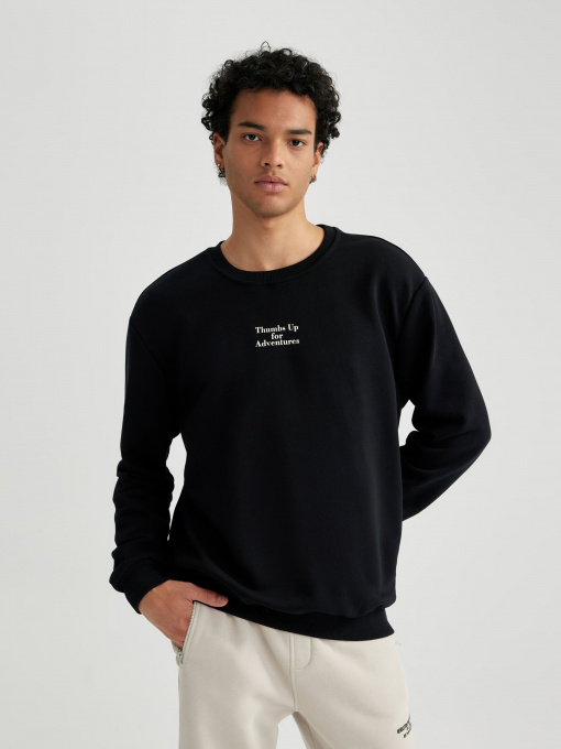 Світшот DeFacto модель A7462AX-BK81 Фото