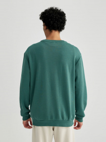 Свитшот DeFacto модель A7462AX-GN755 Фото