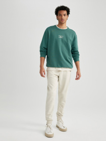 Свитшот DeFacto модель A7462AX-GN755 Фото