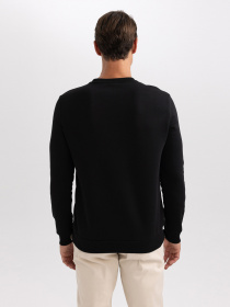 Свитшот DeFacto модель T3777AZ-BK81 Фото