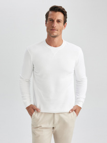 Свитшот DeFacto модель T3777AZ-WT34 Фото