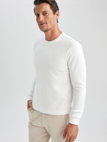 Свитшот DeFacto модель T3777AZ-WT34 Фото