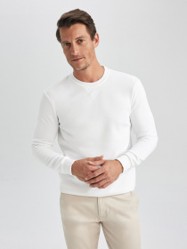 Свитшот DeFacto модель T3777AZ-WT34 Фото