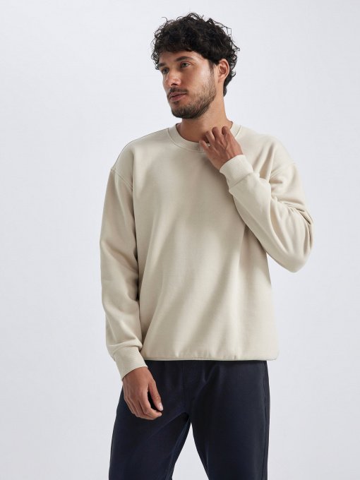 Світшот DeFacto модель T5139AZ-BG737 Фото