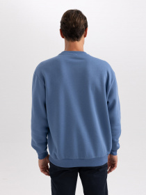 Свитшот DeFacto модель T5139AZ-IN34 Фото