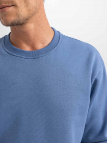 Свитшот DeFacto модель T5139AZ-IN34 Фото