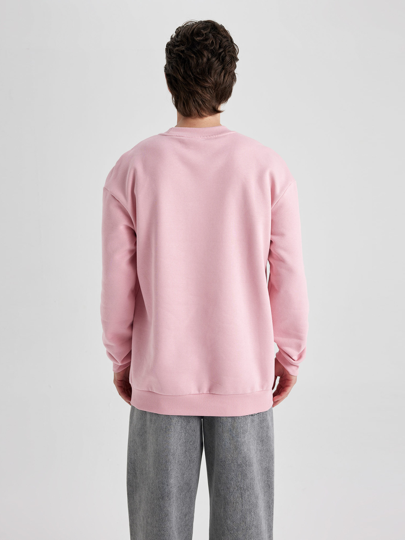 Свитшот DeFacto модель V5306AZ-PN589 Фото