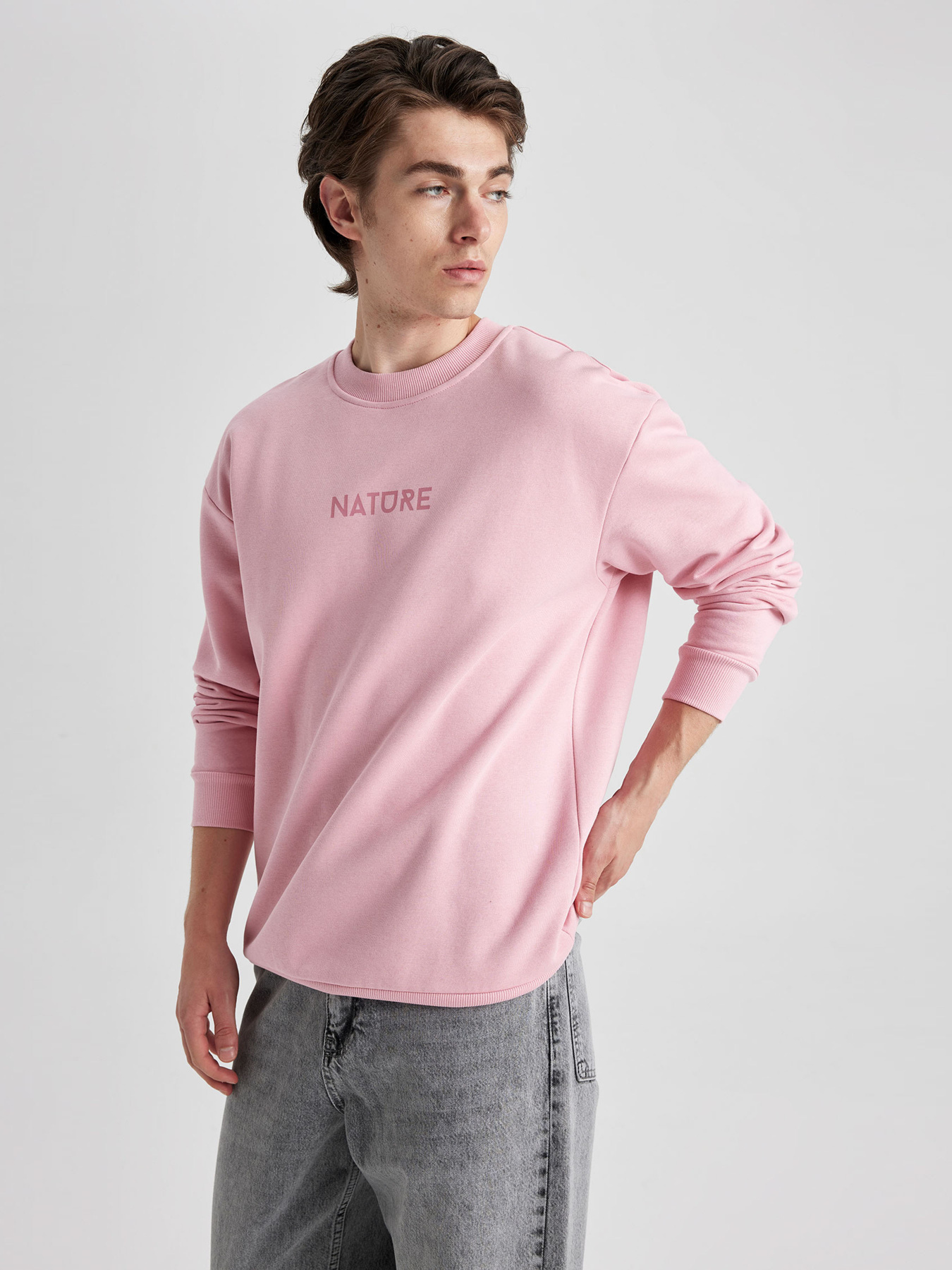 Свитшот DeFacto модель V5306AZ-PN589 Фото