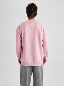 Свитшот DeFacto модель V5306AZ-PN589 Фото