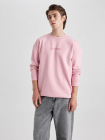 Свитшот DeFacto модель V5306AZ-PN589 Фото