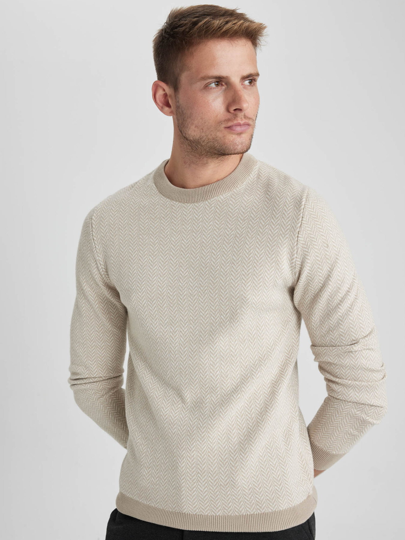 Джемпер DeFacto модель X5159AZ-BG300 Фото