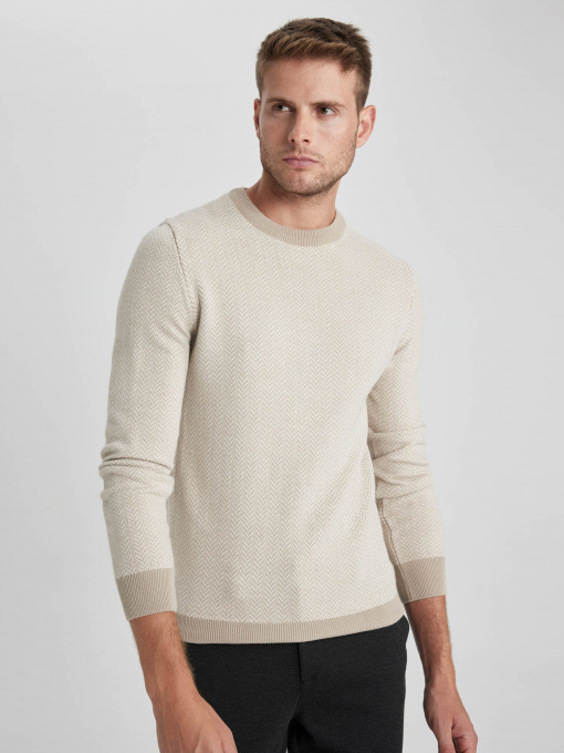 Джемпер DeFacto модель X5159AZ-BG300 Фото