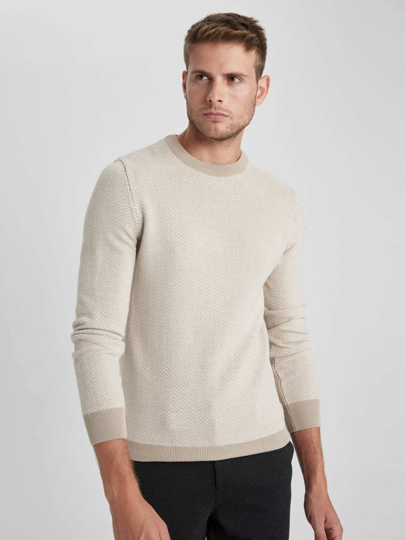 Джемпер DeFacto модель X5159AZ-BG300 Фото