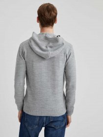 Худи DeFacto модель T6405AZ-GR228 Фото