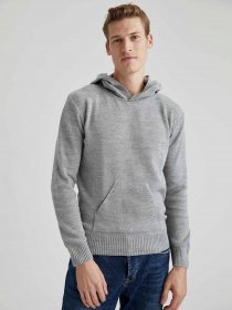 Худи DeFacto модель T6405AZ-GR228 Фото