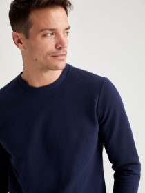 Свитшот DeFacto модель T5102AZ-NV120 Фото