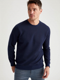 Свитшот DeFacto модель T5102AZ-NV120 Фото