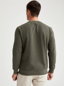 Світшот DeFacto модель T5102AZ-KH244 Фото