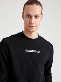 Свитшот DeFacto модель T5282AZ-GN402 Фото