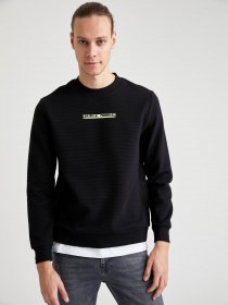 Свитшот DeFacto модель T5282AZ-GN402 Фото