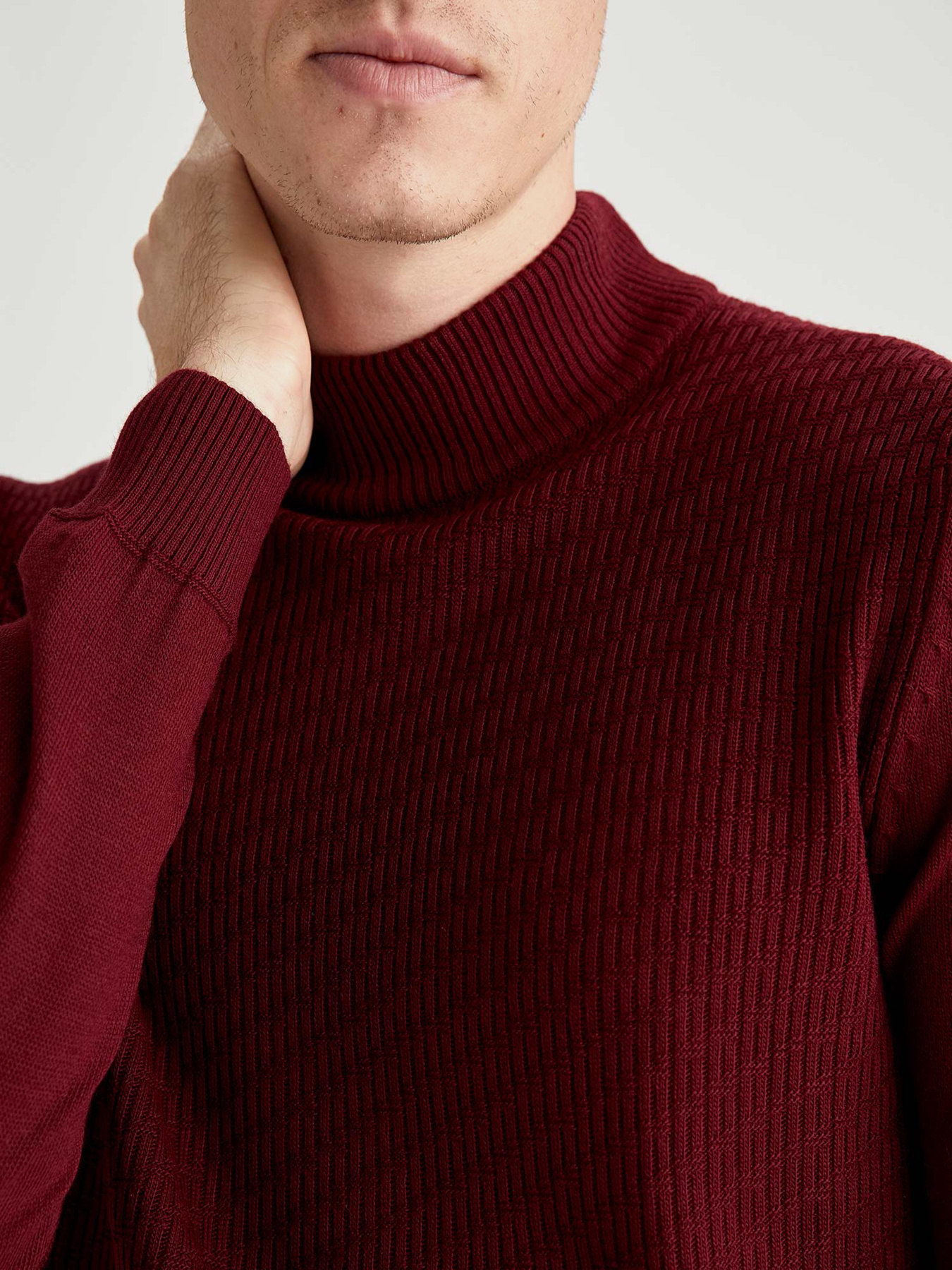 Водолазка DeFacto модель T1186AZ-BR34 Фото