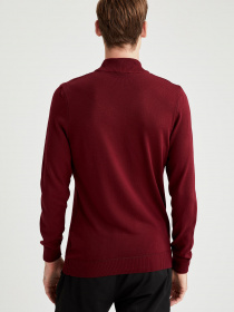 Водолазка DeFacto модель T1186AZ-BR34 Фото