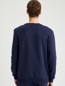 Світшот DeFacto модель R6410AZ-NV120 Фото