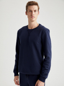 Світшот DeFacto модель R6410AZ-NV120 Фото