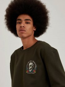 Свитшот DeFacto модель T5831AZ-KH344 Фото