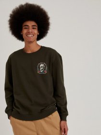 Свитшот DeFacto модель T5831AZ-KH344 Фото