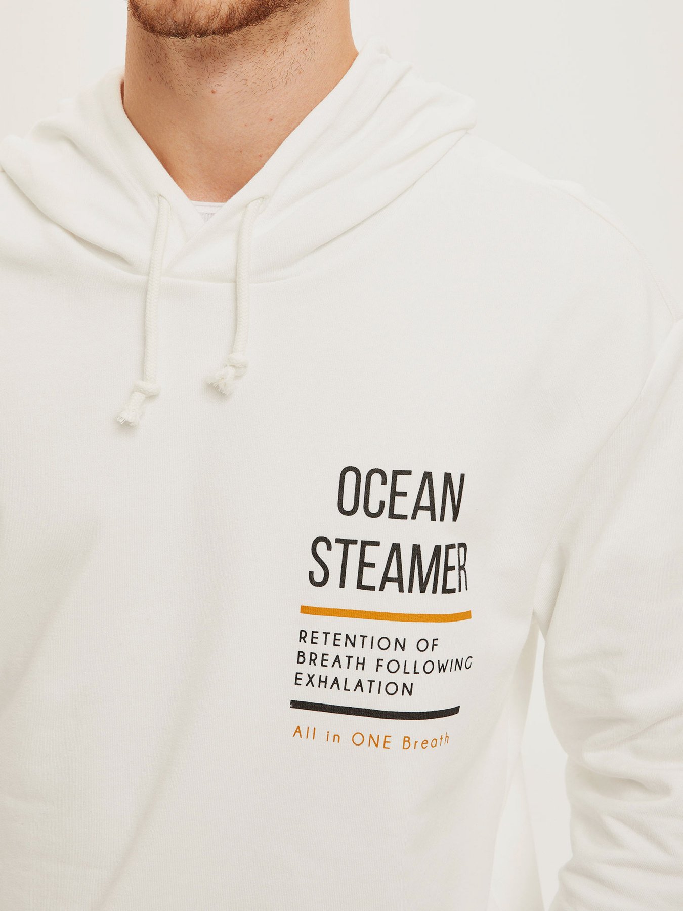 Худи DeFacto модель S9292AZ-WT34 Фото