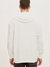 Худи DeFacto модель S9292AZ-WT34 Фото