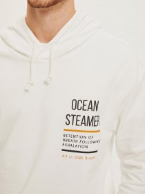 Худи DeFacto модель S9292AZ-WT34 Фото