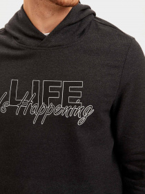 Худі DeFacto модель S7008AZ-AR160 Фото