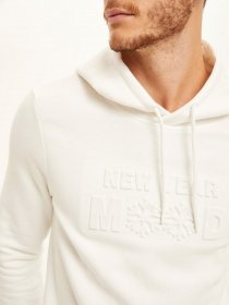 Худи DeFacto модель S6011AZ-ER105 Фото