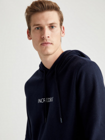 Худі DeFacto модель S9062AZ-NV64 Фото