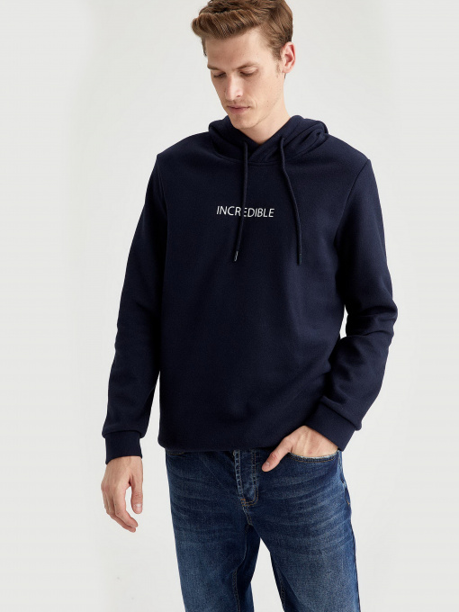 Худи DeFacto модель S9062AZ-NV64 Фото