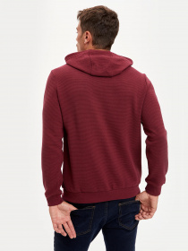 Свитшот DeFacto модель R2622AZ-BR296 Фото