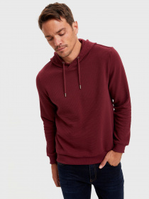 Свитшот DeFacto модель R2622AZ-BR296 Фото