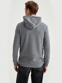 Худи DeFacto модель S9063AZ-GR210 Фото