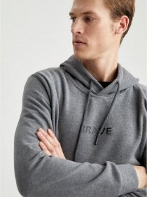 Худи DeFacto модель S9063AZ-GR210 Фото