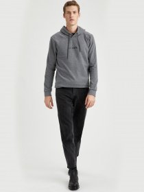 Худі DeFacto модель S9063AZ-GR210 Фото