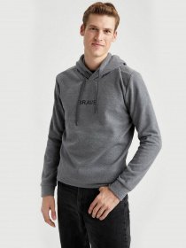 Худі DeFacto модель S9063AZ-GR210 Фото